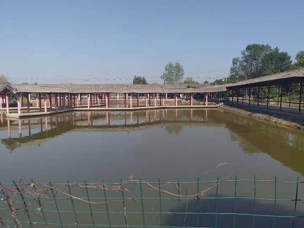 我司组织梁湖农庄秋游活动