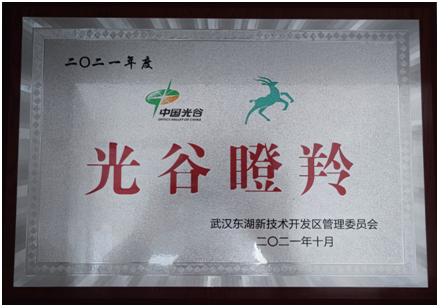 16371292201866.png 瞪羚企业.png