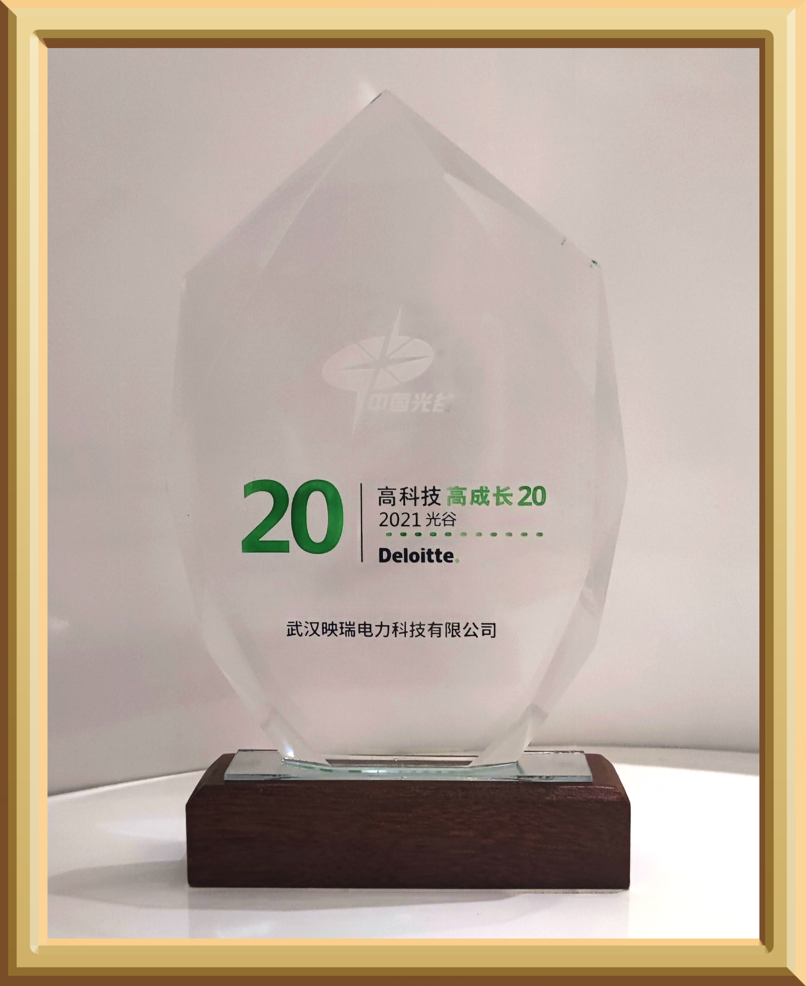 喜讯！热烈祝贺公司入选 2021年度“德勤光谷高科技高成长20强企业”名单