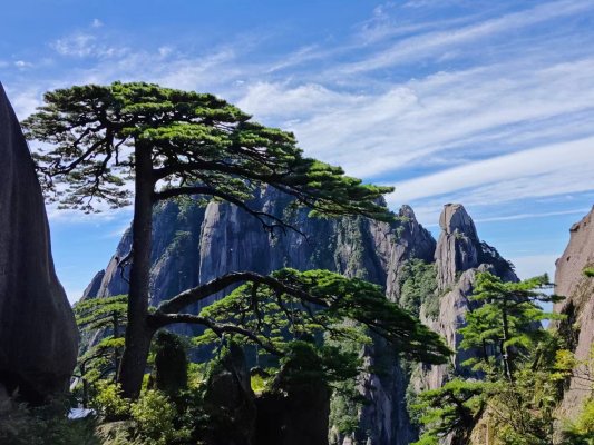 云白山青 登高向远  ——映瑞电力开展2023年大美黄山、宏村夏日团建活动